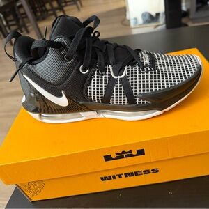 Nike LeBron Witness VII TB